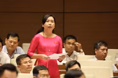 Expansion of anti-corruption to non-State sector scrutinised