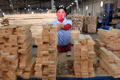 Wood exports expected to hit 8.85 billion USD this year