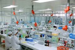 Pharma sector optimistic about business prospects