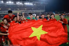 Malaysian media comment on Vietnam’s football victory