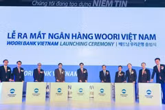 Foreign capital continues to flow into banking sector