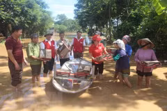 Vietnam Red Cross Society provides aid to flood-hit provinces