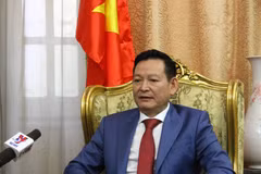 Bomb attack in Egypt: Eight Vietnamese recover and could return home
