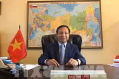 Ambassador: Vietnam, Russia enjoy fruitful cooperative ties