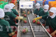 RoK’s imports of Vietnamese farm produce soars after 2015 FTA