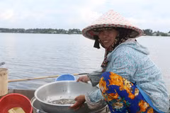 Measures needed to help Mekong Delta farmers cope with floods