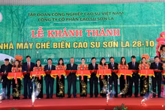 Rubber latex processing plant inaugurated in Son La