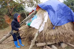 Cold weather hits northern provinces
