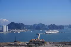 Seminar looks into cruise tourism development
