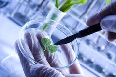 RoK to spend 328 mln USD to develop bio tech in 2018
