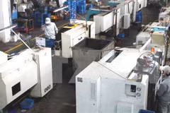 SOE equitisation needs faster pace