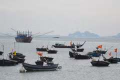 Dialogue seeks to promote fishery cooperation in East Sea