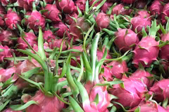 Reduced Australian tariff to boost Vietnam exports