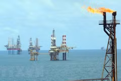 Petroleum law to be revised to facilitate sustainable growth of oil sector