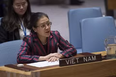 Vietnam calls on UN Security Council to solve Israel-Palestine conflict