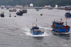 “Yellow card” warning motivates responsible, sustainable fishery: Minister