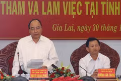 Gia Lai needs to increase forest coverage: PM