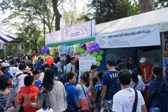Francophone students attend summer school in Vietnam