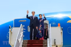 Egypt newspaper: President Quang’s visit opens new cooperation prospects 