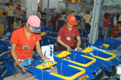 Plastic products exports up 20 percent