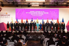 ASEAN affirms central role in creating new trade architecture: AEM-50