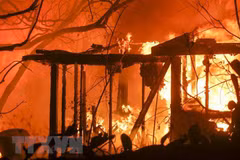 No Vietnamese victims reported in wildfires in California 