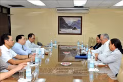 Vietnamese, Cuban parties boost information-education cooperation