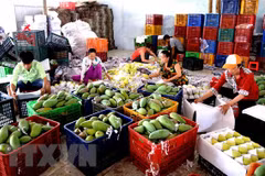 Firms updated about RoK’s new rules on agricultural imports