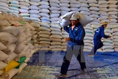 Thanh Hoa to receive over 50,000 tonnes of rice to support forest protectors