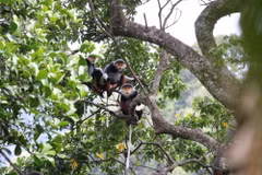 Artistic programme marks 25 years of action for biodiversity