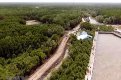 Hi-tech application touted as solution to climate change adaptation 