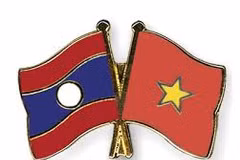 Vietnamese, Lao associations contribute to boosting bilateral ties