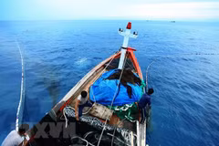 Quang Binh recovers after marine pollution