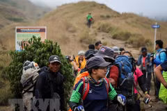 Indonesia: Over 500 climbers rescued after earthquake