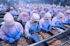 Economists: Vietnam should grasp opportunities in Africa