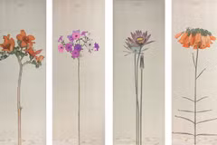 Artist keeps silence to feel nature