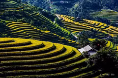 Vietnam’s tourism sector works to attract more foreign tourists 