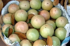 ​Tien Giang: 400 tonnes of star apples to set off for US