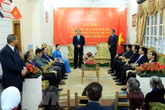 President Tran Dai Quang visits Vietnamese embassy in Egypt 