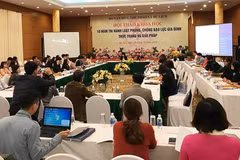 Conference reviews implementation of anti-domestic violence law in 10 years