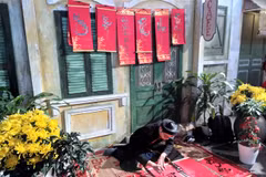 Thang Long Imperial Citadel opens for Tet