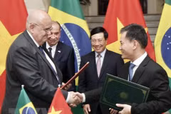 Vietnam hopes for enhanced cooperation with Brazil 