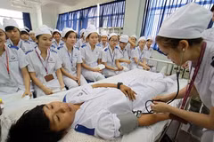 Japan seeks more Vietnamese nurses, orderlies for ageing population 