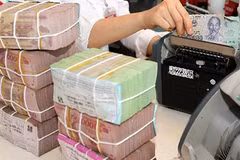 VAMC cuts rates on NPLs denominated in euros, dong