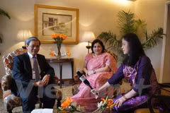 Vietnam-India relations stronger than ever: ambassadors