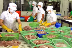 Government eyes diversified exports 