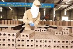 Use of non-fired bricks to be promoted