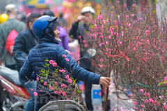 Disadvantaged people supported to enjoy Tet holiday