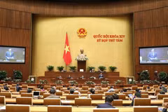 National Assembly adopts resolution on 2020 State budget allocation 