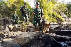 Vietnamese, Cambodian localities intensify border work 